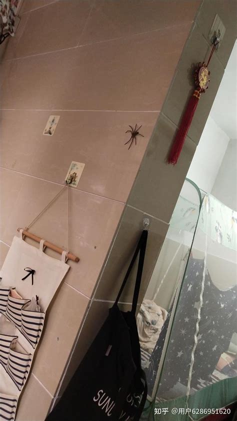 特殊房子 房有蜘蛛